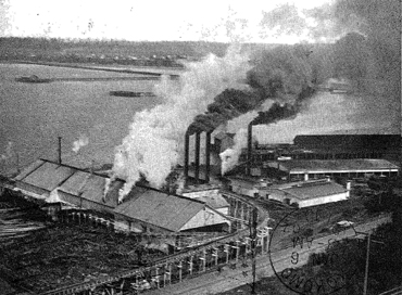 Bellingham Bay Lumber Company Mill, 1906